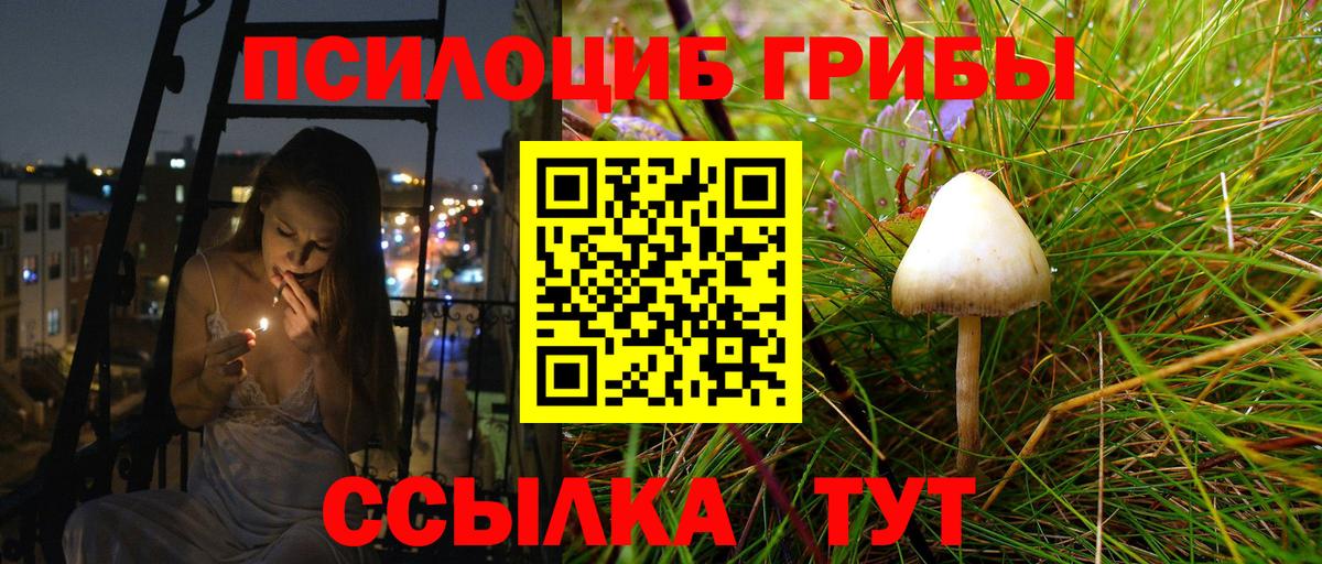 Ефремов  Псилоцибиновые грибы ЛСД  Вход с VPN 