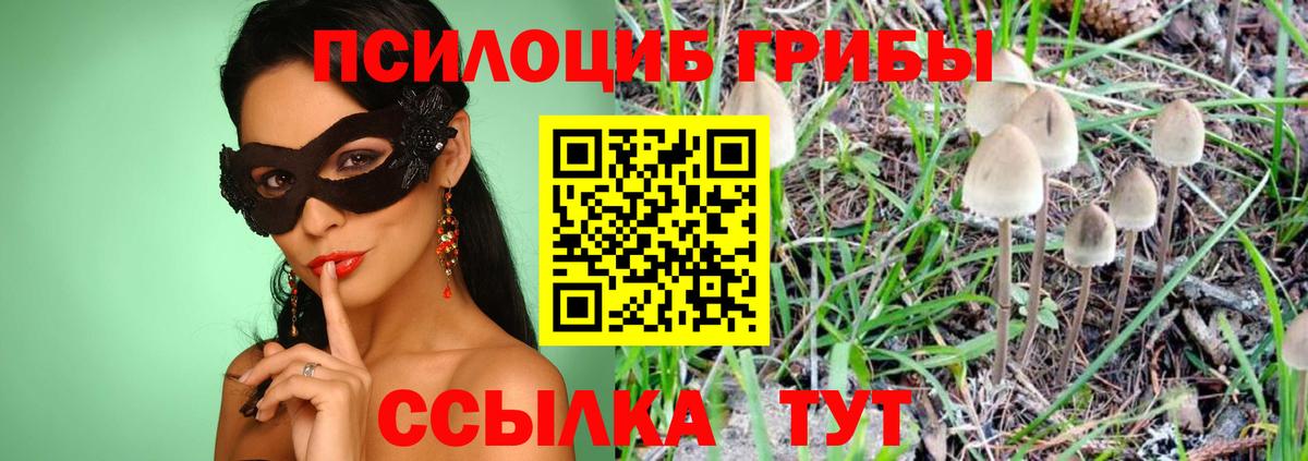 Галлюциногенные грибы мухоморы Ефремов